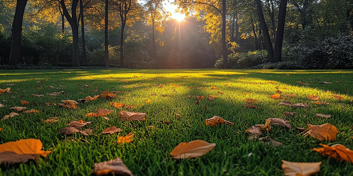 Jak długo ukorzenia się trawa z rolki?